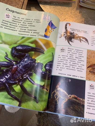 Моя первая энциклопедия Самые невероятные факты