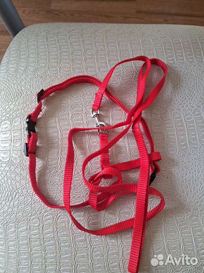 Обувь для маленьких собак