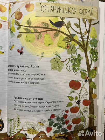 Большая книга букашек