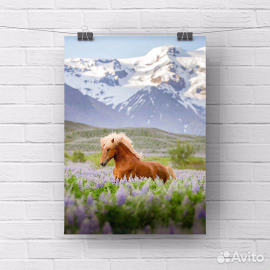 Интерьерные постеры 30*40 см