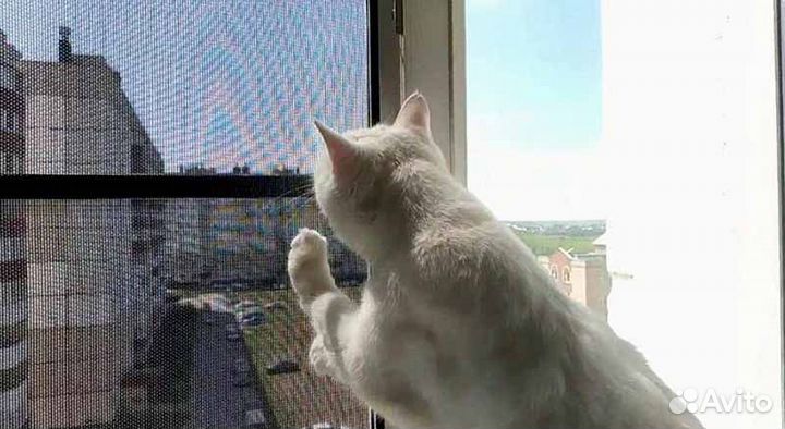 Сетка москитная