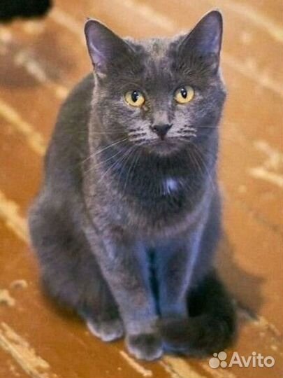 И когда она обретёт свою любимую семью