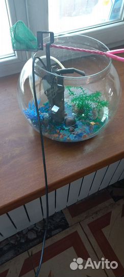 Аквариум 15 литров