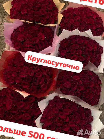 Розы 25/51/101 Рязань