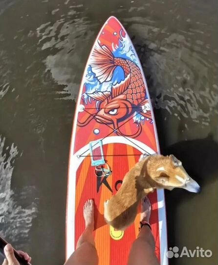 Сап борд доска sup board Koi оригинал