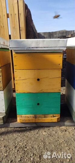 Улей для пчел