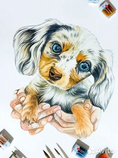 Художник иллюстратор