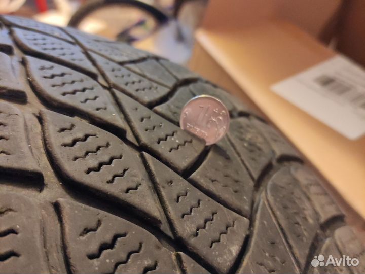 Delinte Winter WD6 205/55 R17 95H