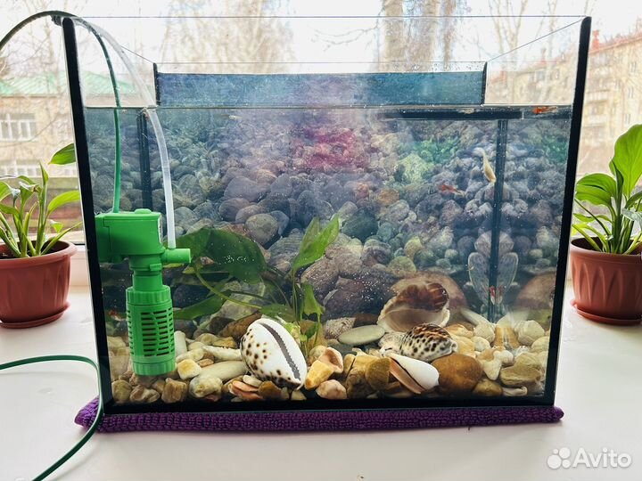 Аквариум с рыбками
