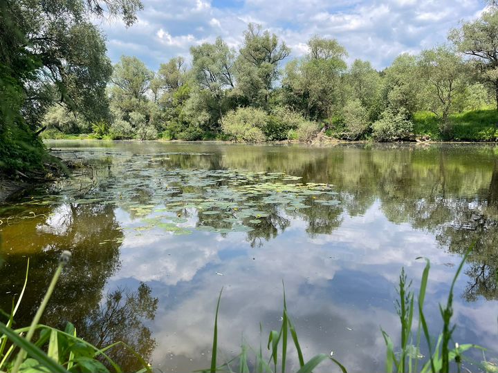 Участок 6 сот. (ИЖС)