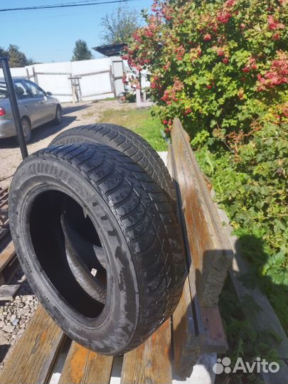 Bridgestone Ice Cruiser 5000 185/65 R15 88T