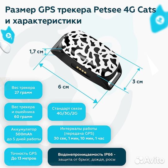 Gps для кошек