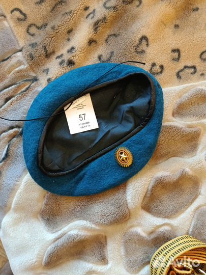 Берёт синий