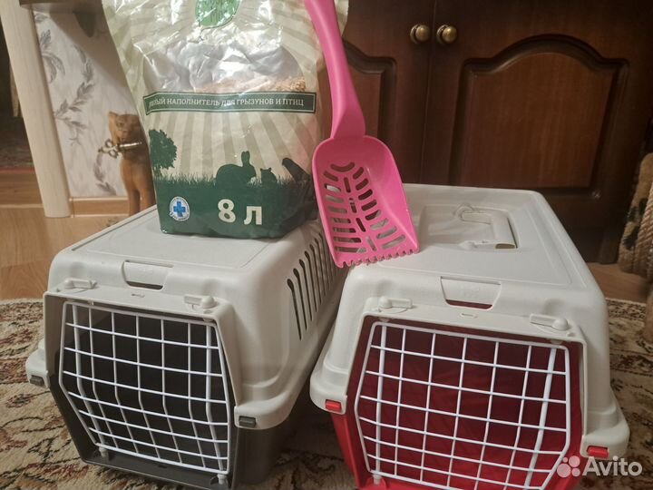 Товары для кошек и собак