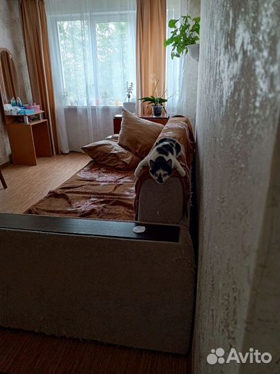 Рисунок питомца