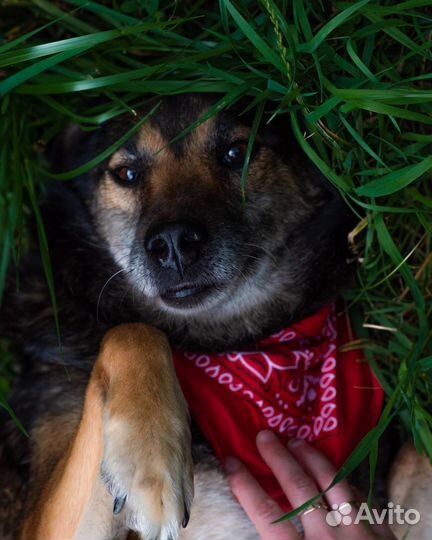 Милая Маруся