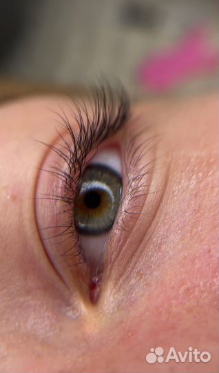 Брови Ресницы