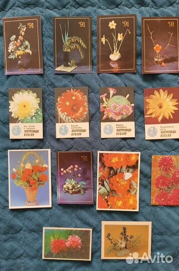 Календарики цветы