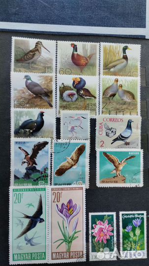 Коллекция марок разной тематики