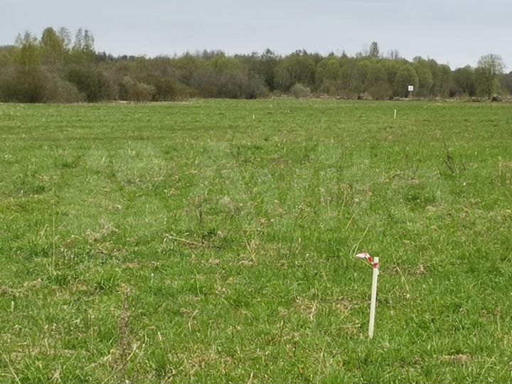 Участок 30 сот. (ИЖС)