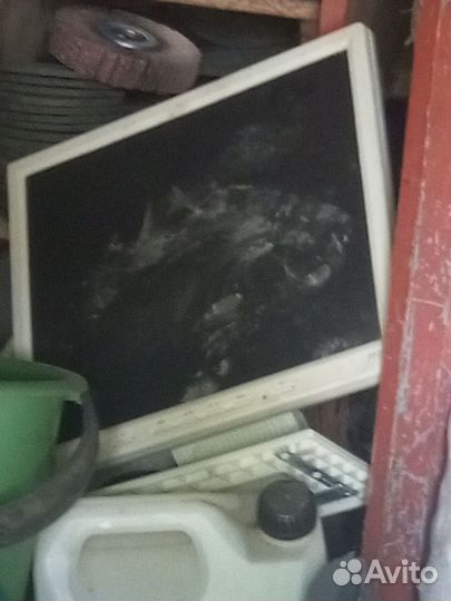 Монитор Asus
