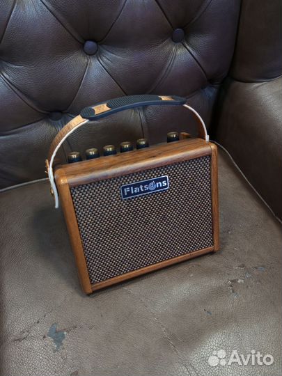 Комбоусилитель портативный для гитары и микрофона