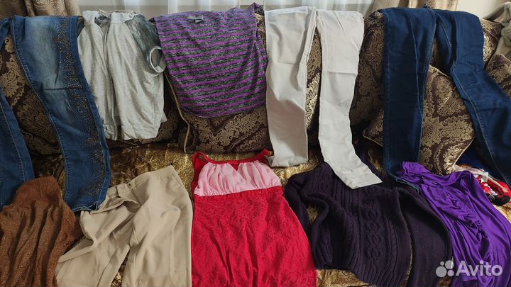 Отдам бесплатно