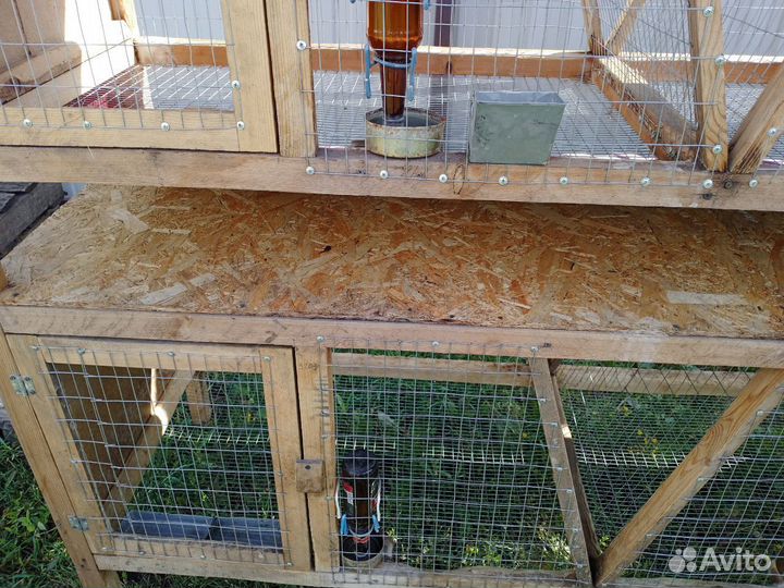 Клетки для кроликов
