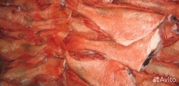 Замороженная рыба