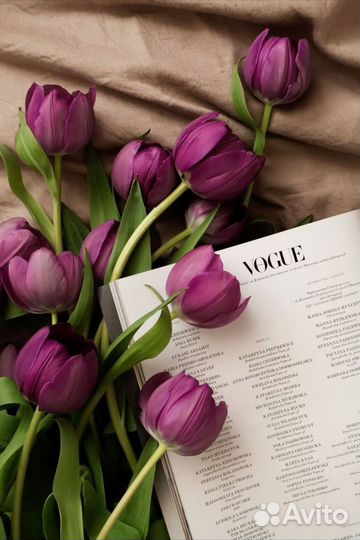 Фиолетовые галландские тюльпаны