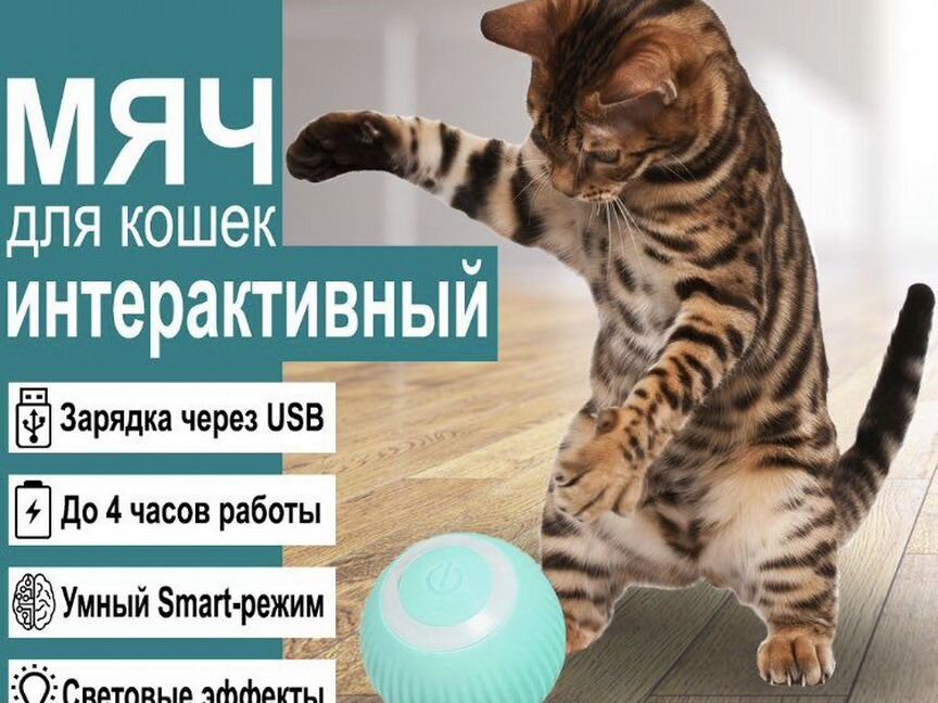 Умный мяч для кошек