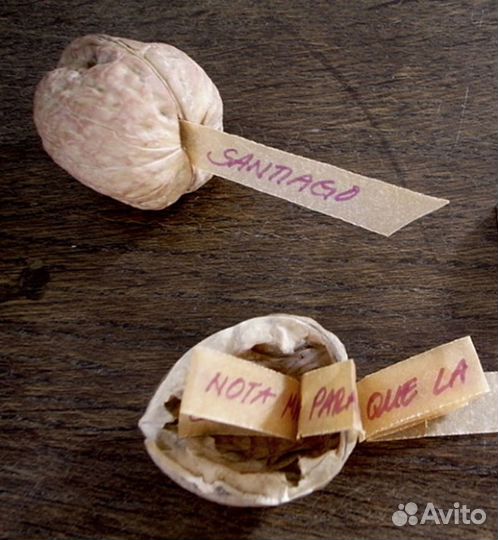 Скорлупа грецкого ореха