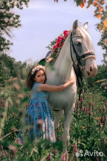 Конный фотограф