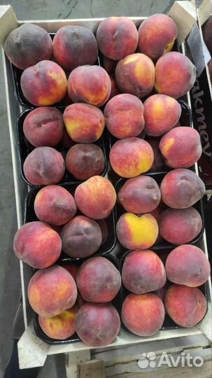 Фрукты абрикос, нектарин, персик, слива, апельсин