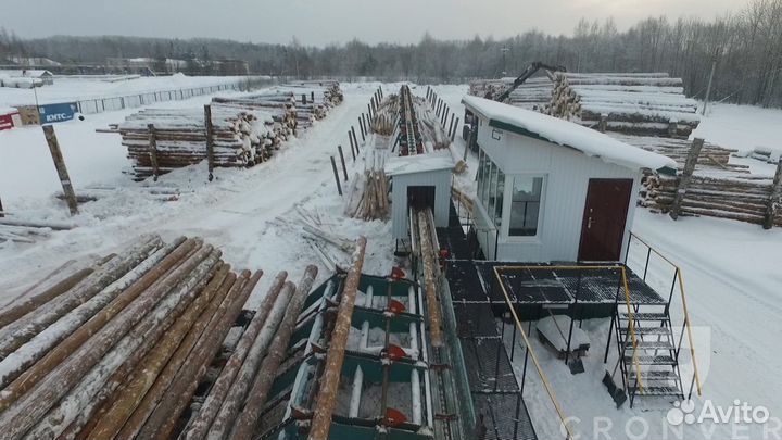 Линия сортировки круглого леса