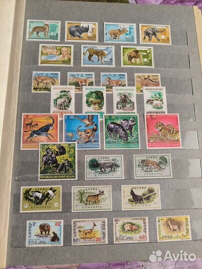 Альбом с марками (фауна) 1