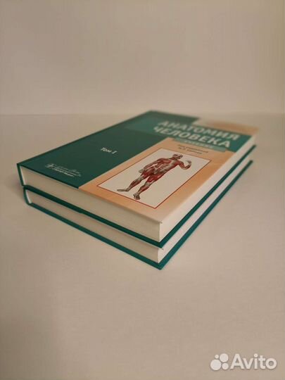 Анатомия человека