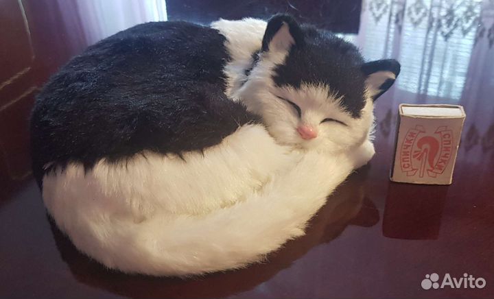 Кошка-милашка