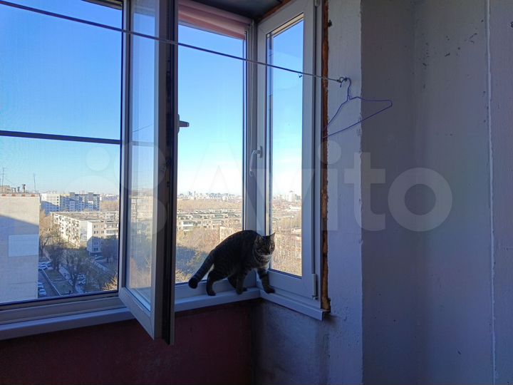 3-к. квартира, 65,5 м², 10/10 эт.