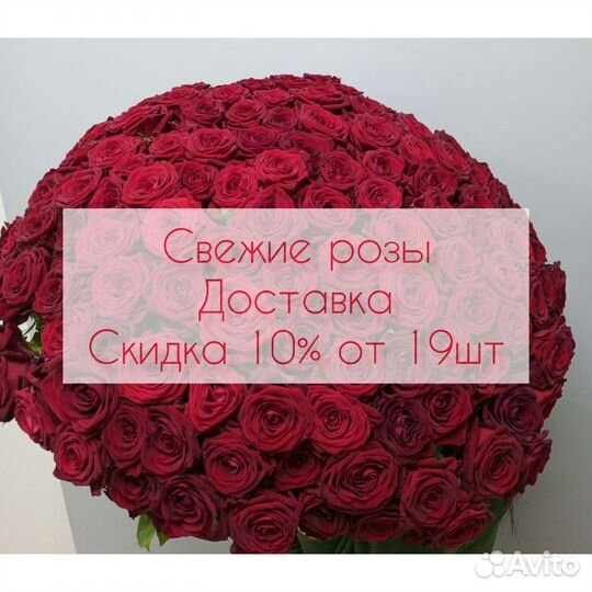 Доставка цветов,розы.Красные розы 101,51,25