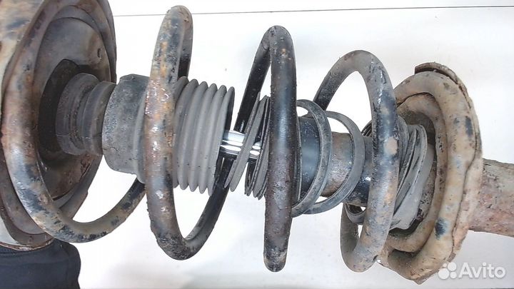 Амортизатор подвески Nissan Primera P12, 2005