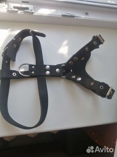 Шлейка для собаки