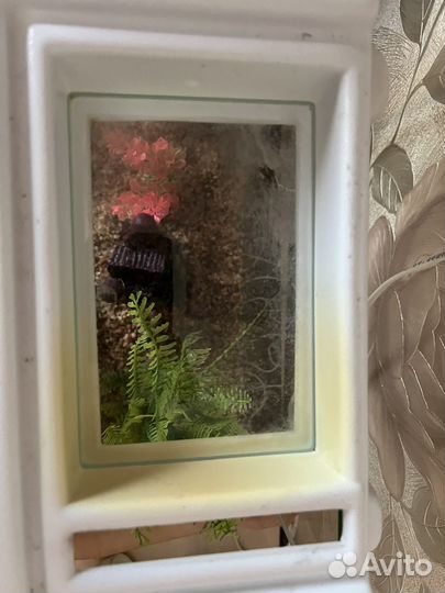 Аквариум на 20 литров