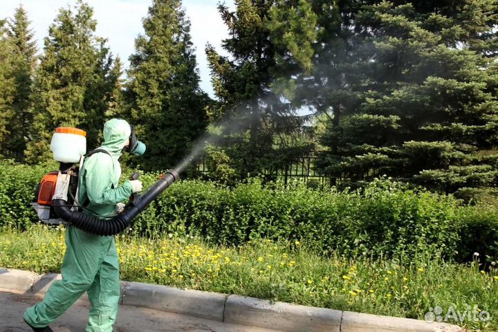 Уничтожение клопов тараканов грызунов