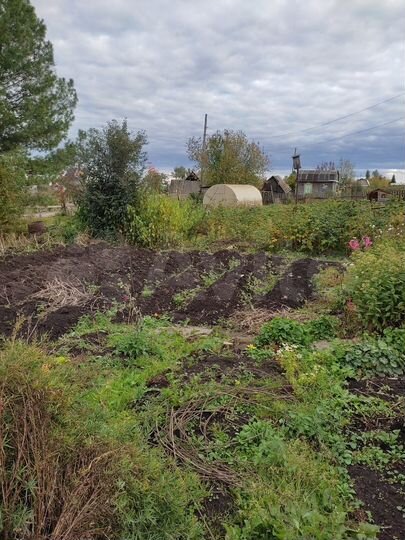 Дача 20 м² на участке 8 сот.