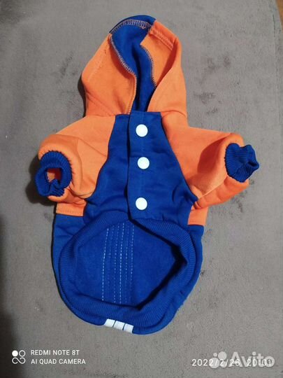 Одежда для маленьких собачек