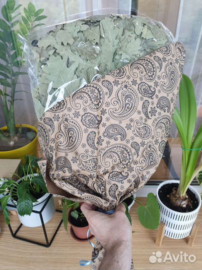 Необычный подарок