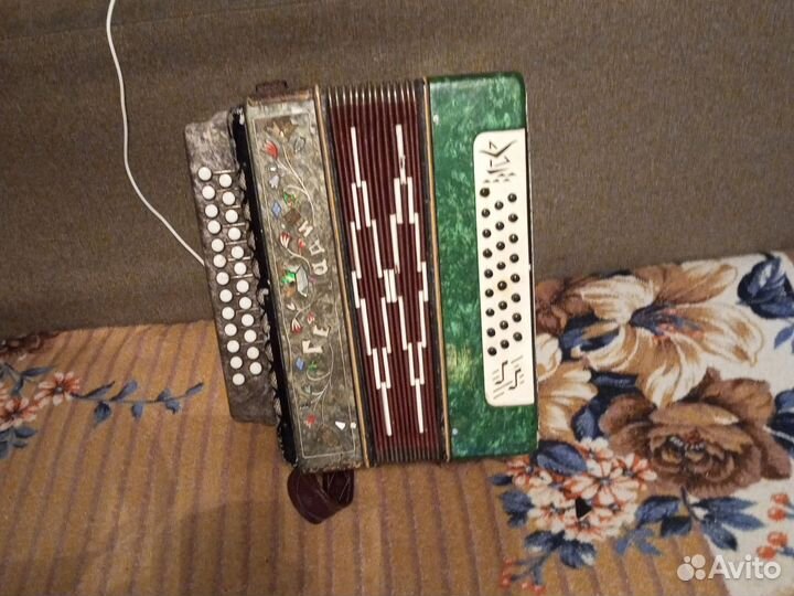 Гармонь чайка