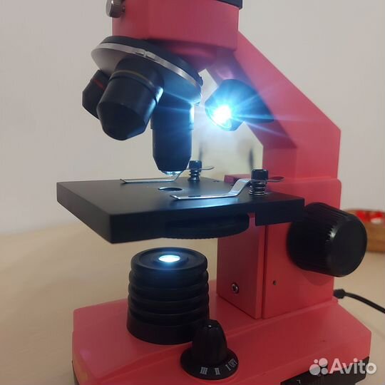 Микроскоп levenhuk Rainbow 2L plus