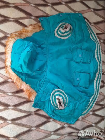 Комбез и шлейка